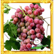 Vendre le nouveau raisin 2012